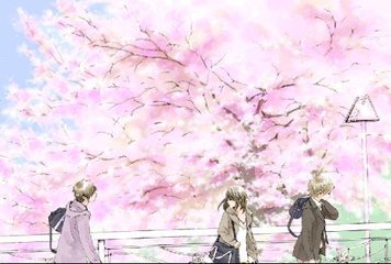打扑克小视频真实